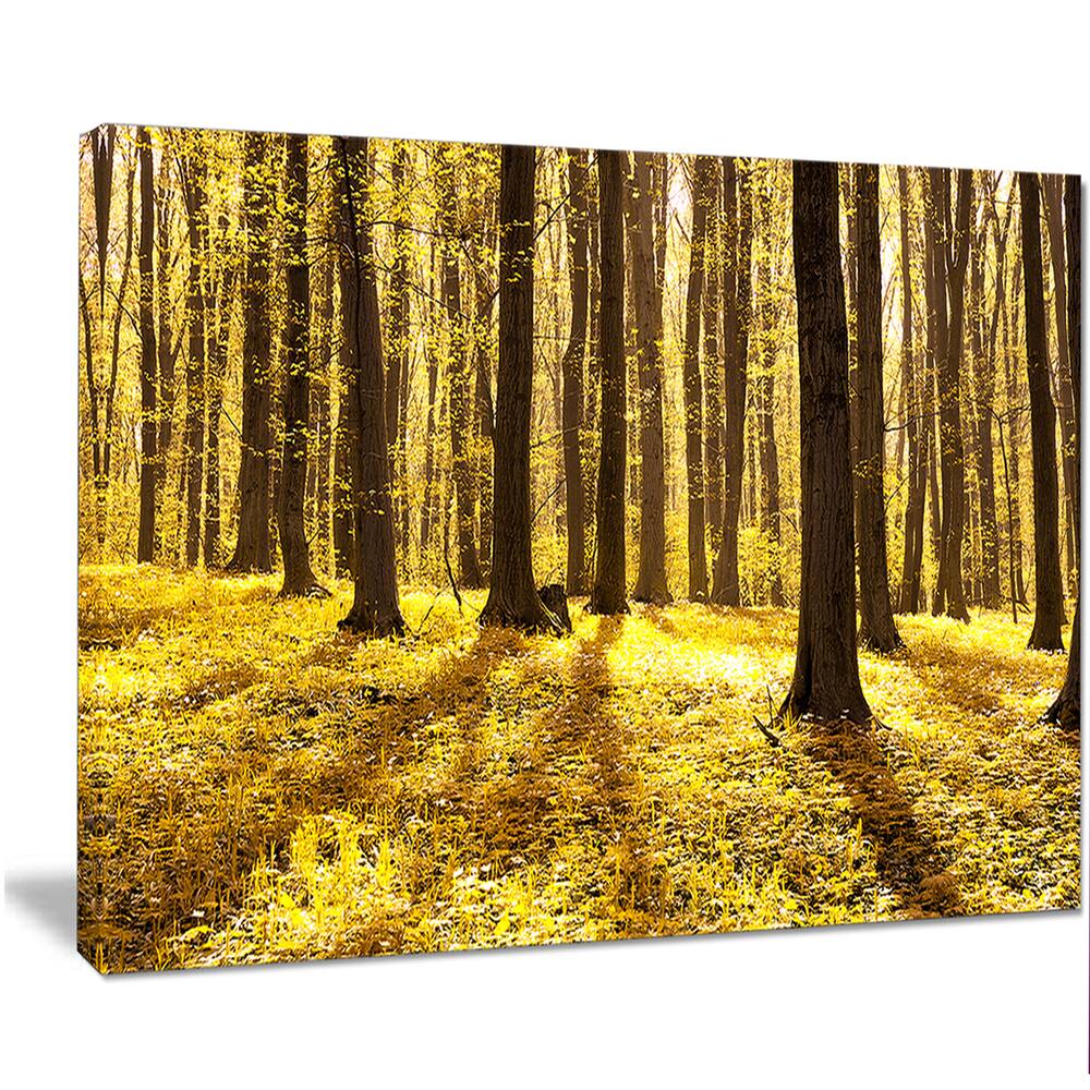 Designart "Bright Green Forest at Sunset" Modern Forest Canvas Art Bed Bath & Beyond 13136158