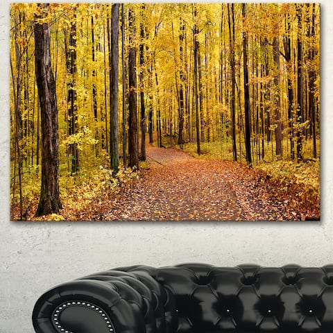Designart 'Bright Autumn Forest Panorama' Modern Forest Canvas Art - Gold
