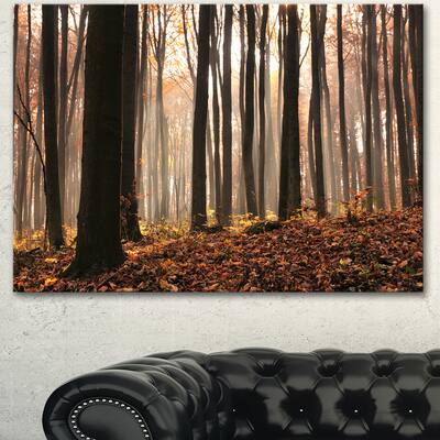 Designart "Dark Thick Woods in Fall Forest" Modern Forest Canvas Art