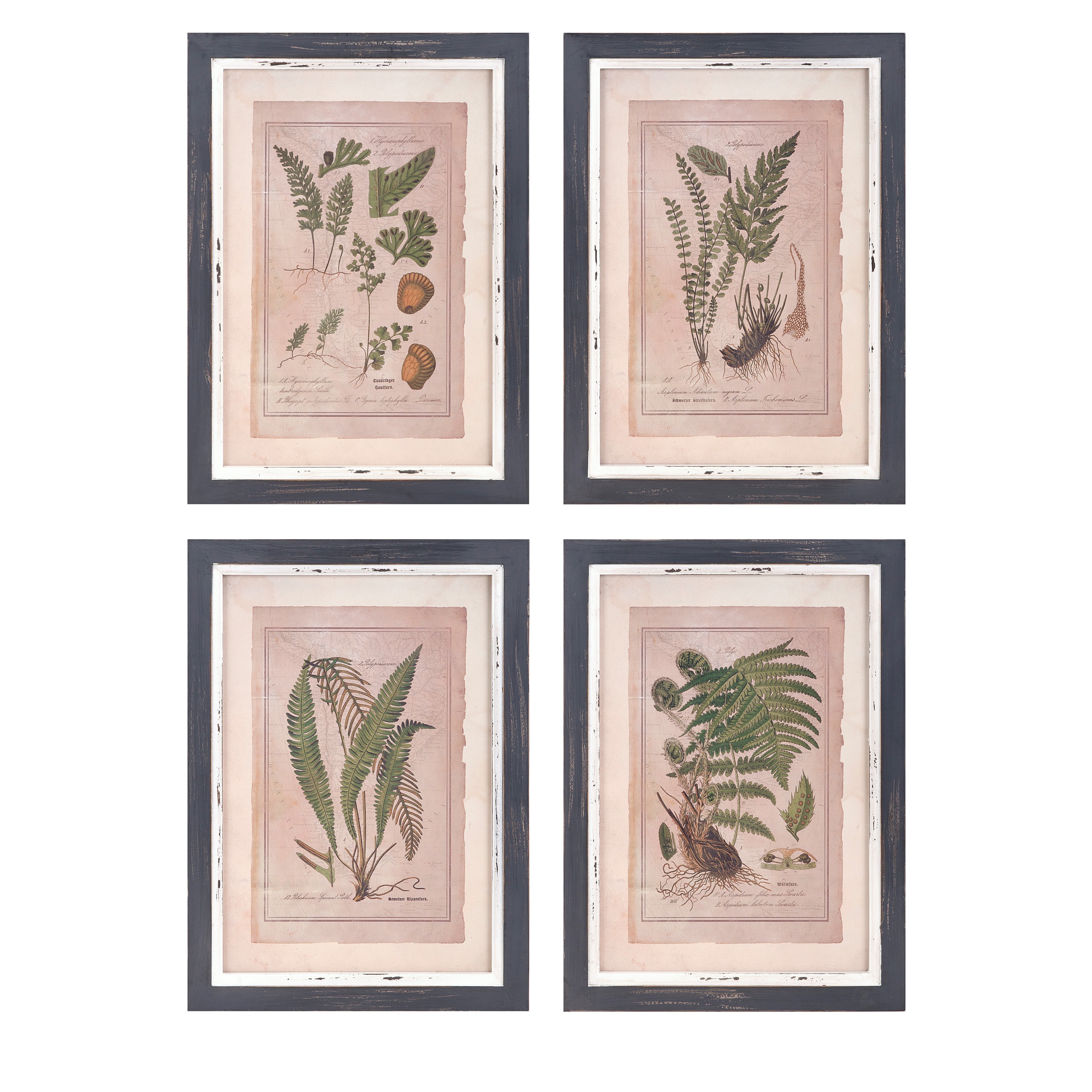 Shop Botanical Print Wall Decor Set Of 4 Overstock 13140107