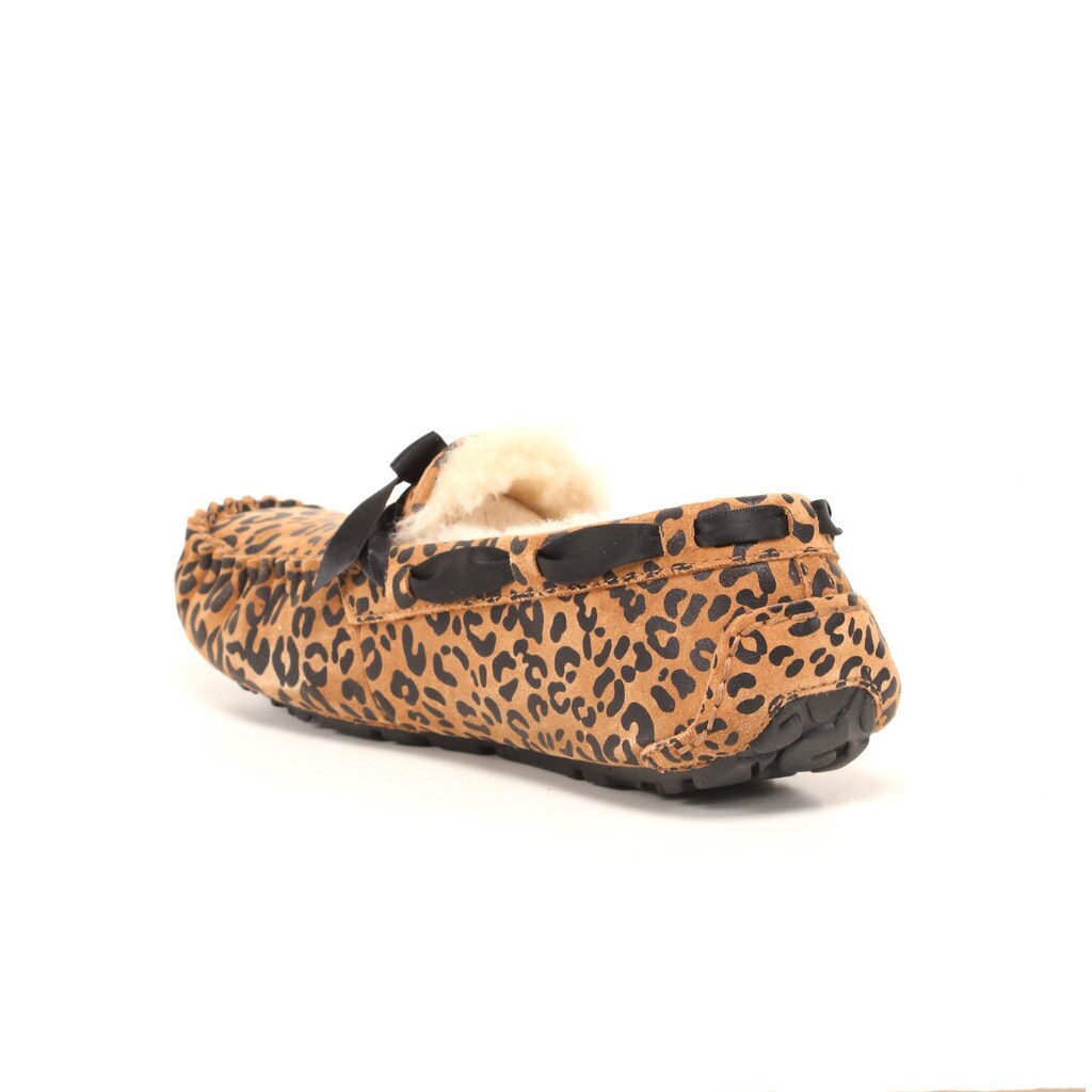 dakota bow slipper