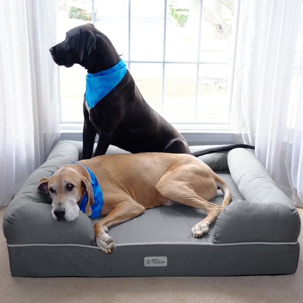 petfusion ultimate dog bed memory foam