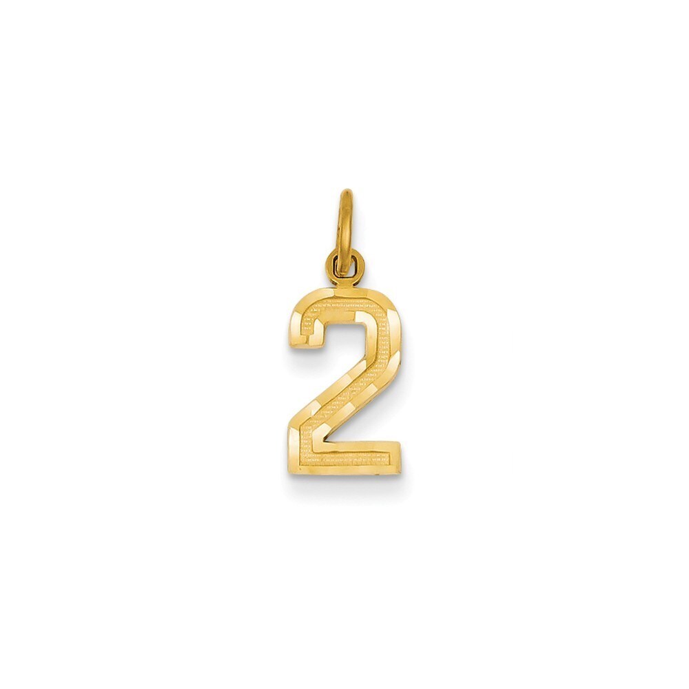 14k Yellow Gold Small Diamond-cut Number 16 Charm