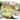 222 Fifth Adelaide 16-Piece Porcelain Dinnerware Set with Square Dishes, Yellow