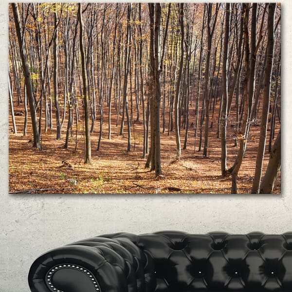 Large Canvas Art - Bed Bath & Beyond