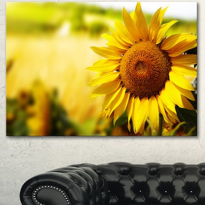 Designart "Beautiful Tuscany Sunflower" Flower Canvas Print Artwork - Yellow