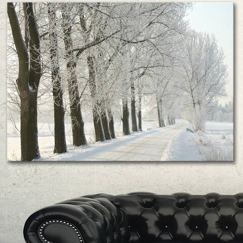 Designart "Winter Rural Road at Sunrise" Large Forest Artwork Print on Canvas - Silver