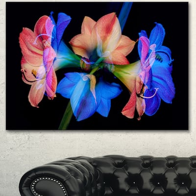 Designart "Abstract Blue Red Flower on Black" Extra Large Floral Wall Art