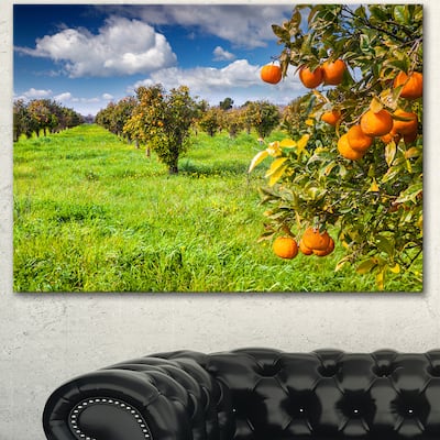 Designart "Bright Green Grass in Orange Garden" Large Landscape Art Canvas Print