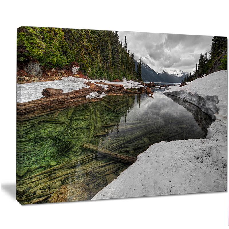 Designart "Crystal Clear Lake with Pine Trees" Extra Large Landscape