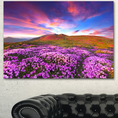 Designart "Magic Pink Rhododendron Flowers" Large Landscape Art Canvas Print