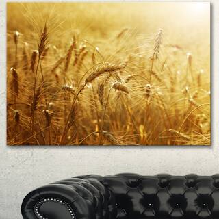 preview thumbnail 5 of 3, undefined