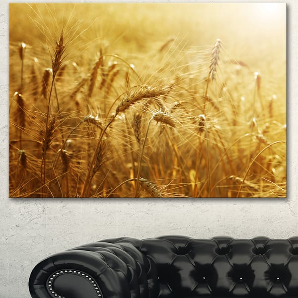 slide 2 of 5, Designart 'Golden Wheat Field ' Landscape Wall Art Print Canvas - Gold