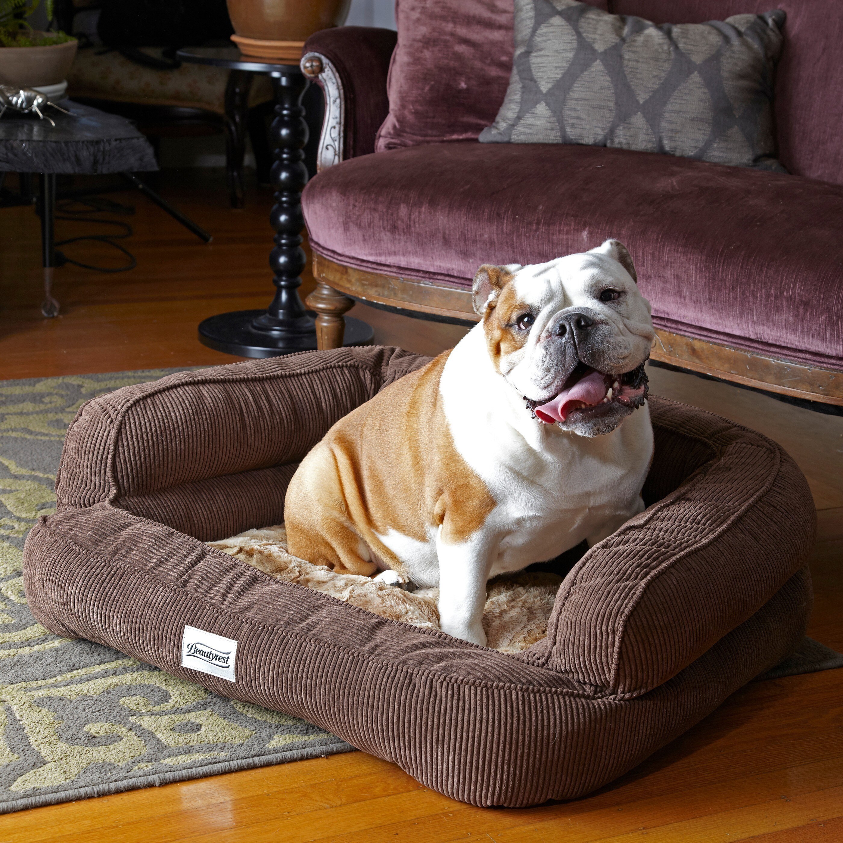 simmons beautyrest pet colossal rest extra large orthopedic dog bed