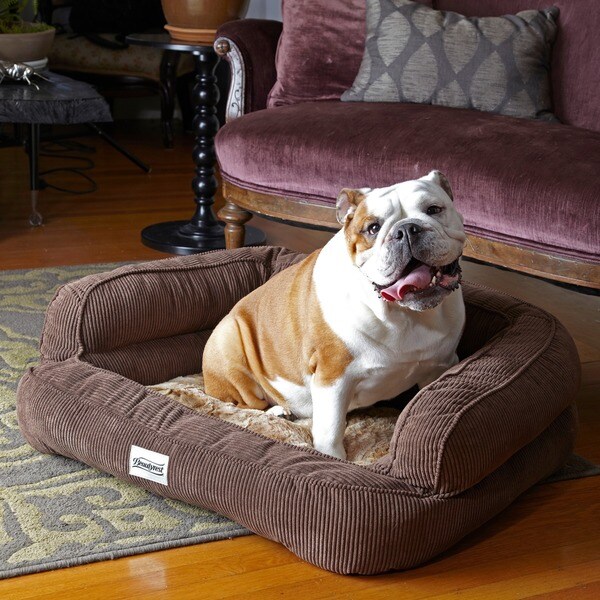 Bed bath and beyond orthopedic dog bed hotsell