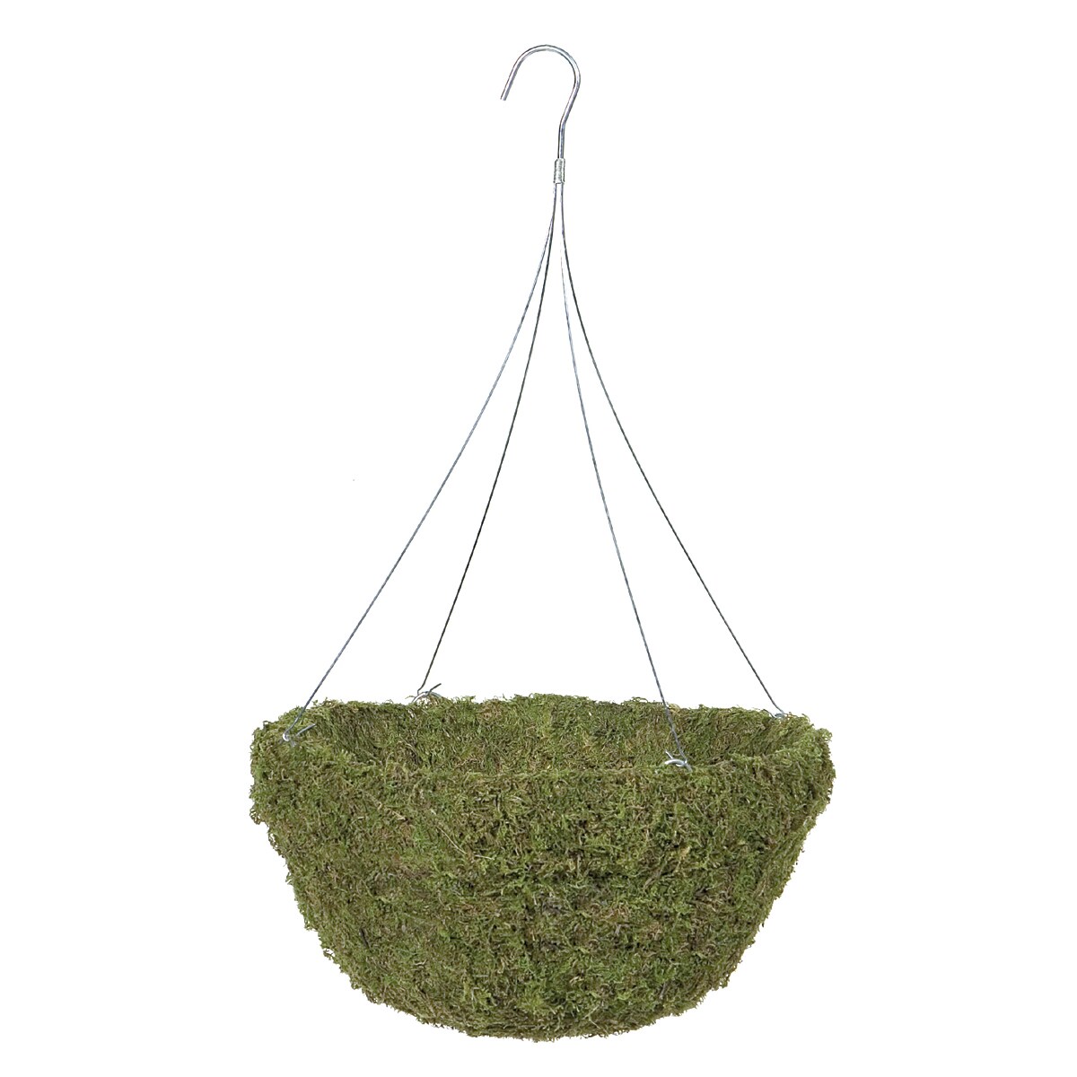 Gardman R476 18" Sphagnum Moss Hanging Basket Green eBay