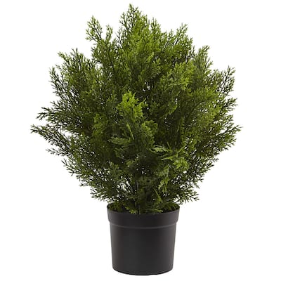 2-foot Indoor/Outdoor Cedar Bush - Green