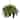 Nearly Natural Giant Boston Fern Hanging Basket - Green
