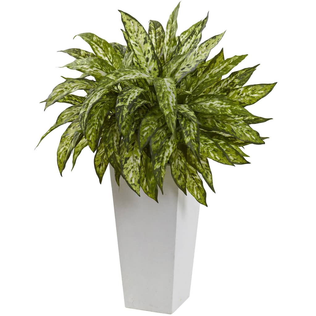 Aglaonema White Decorative Planter