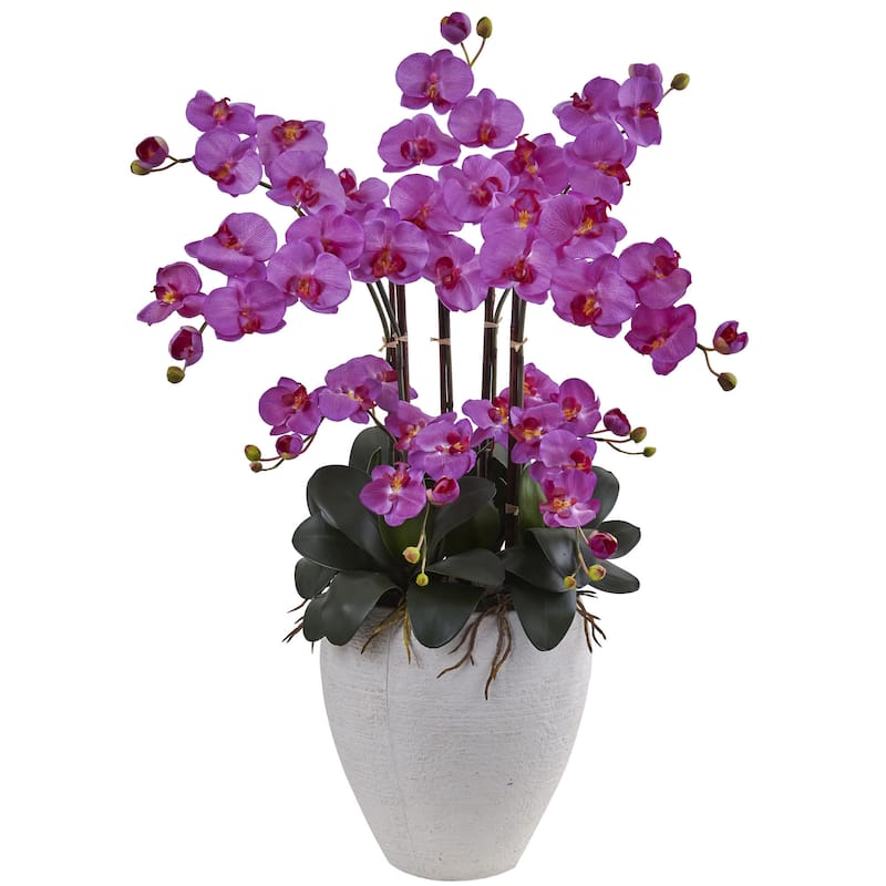 Phalaenopsis Orchid with White Planter - Purple
