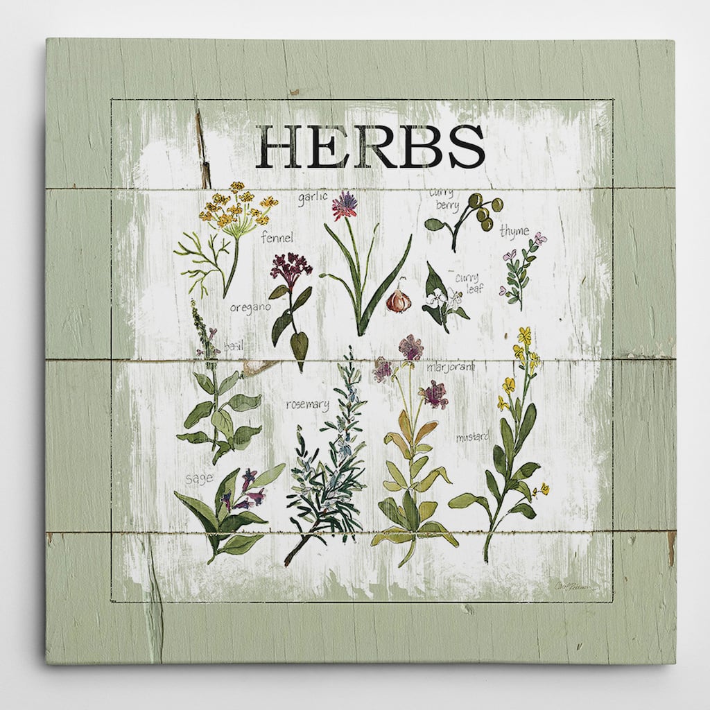 Wexford Home Carol Robinson 'Shiplap Herbs' Wrapped Canvas