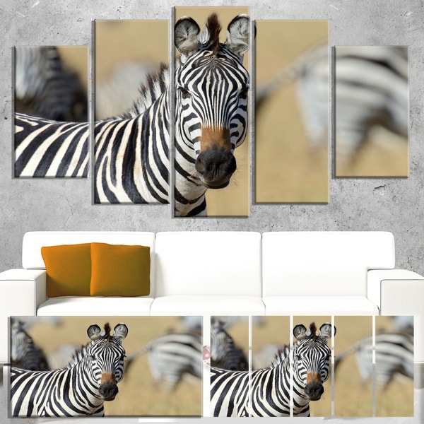Designart 'African Zebra Close-Up View' African Wall Art Canvas Print