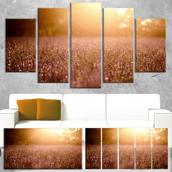 Designart 'Brown Tinged Lavender Field Sunset' Large Floral Canvas Art Print - Brown