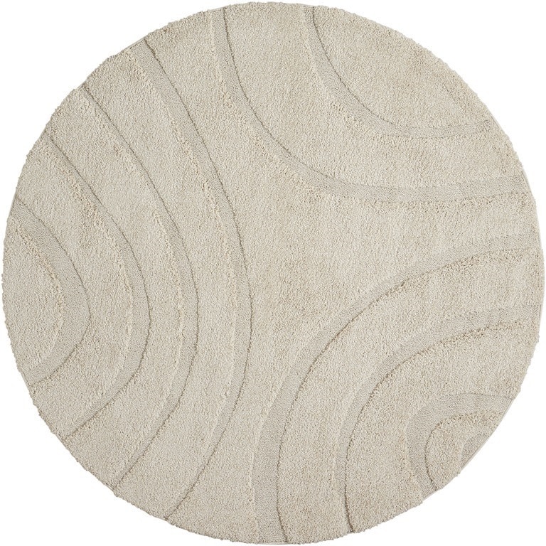 Nourison Austin ASTN1 Shag Area Rug