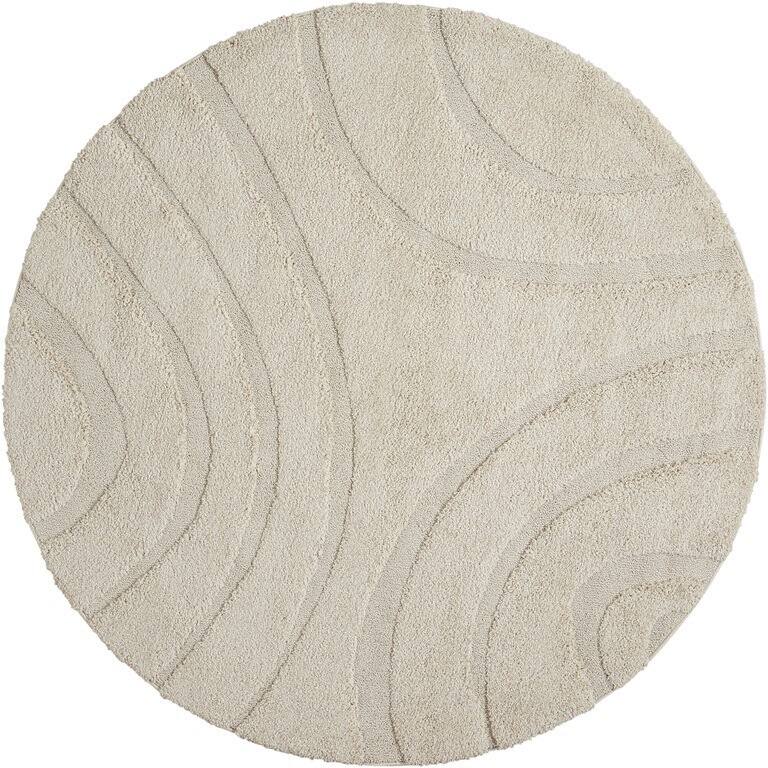 Nourison Austin ASTN1 Shag Area Rug
