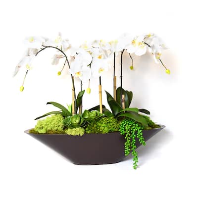 Orchid in Large Metal Boat - Brown