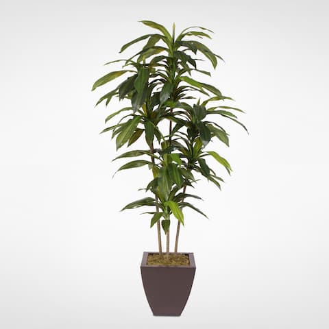 5 Feet Real Touch Artificial Dracaena Tree in Metal Planter