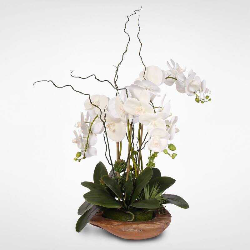 Real Touch Phalaenopsis Silk Orchid with Curly Willow in Natural Teak Wood Bowl - White