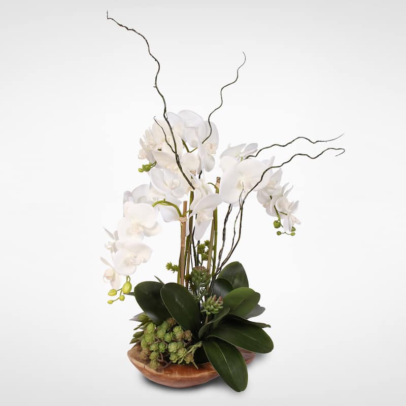Real Touch Phalaenopsis Silk Orchid with Curly Willow in Natural Teak Wood Bowl - White