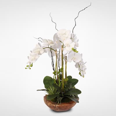 Real Touch Phalaenopsis Silk Orchid with Curly Willow in Natural Teak Wood Bowl - White