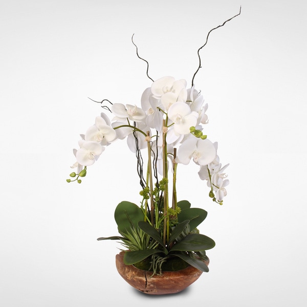 Real Touch Phalaenopsis Silk Orchid with Curly Willow in Natural Teak ...