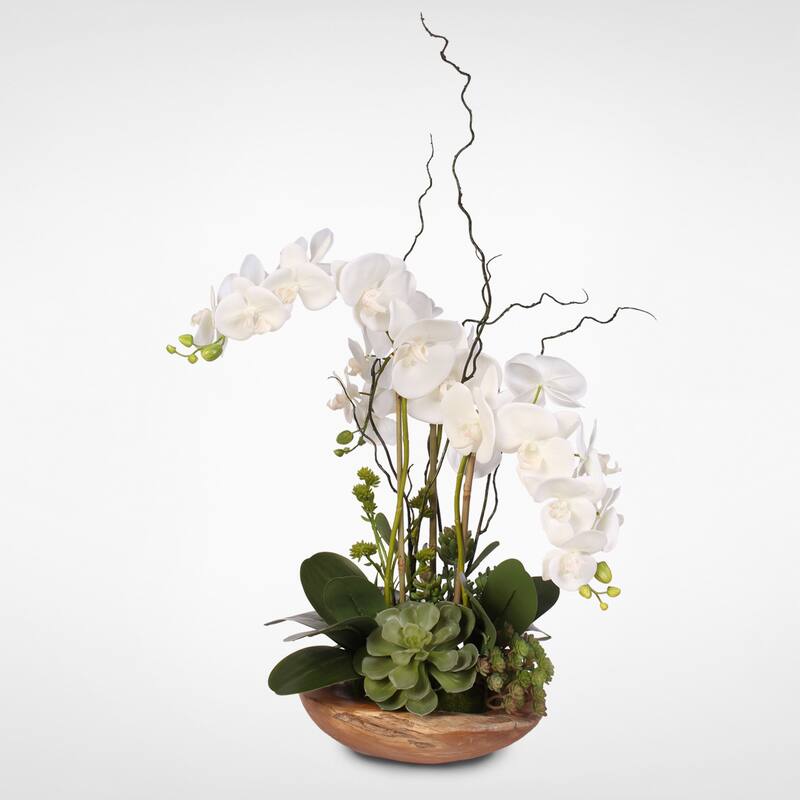 Real Touch Phalaenopsis Silk Orchid with Curly Willow in Natural Teak Wood Bowl - White