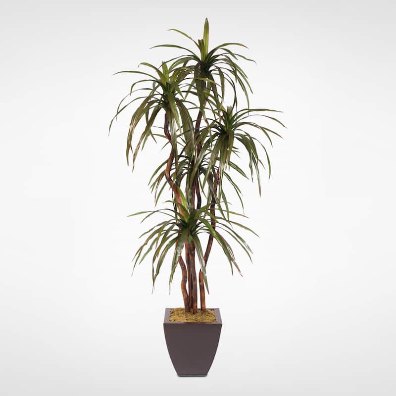 Silk 6-foot Yucca Tree with Natural Wood Trunk in Metal Pot