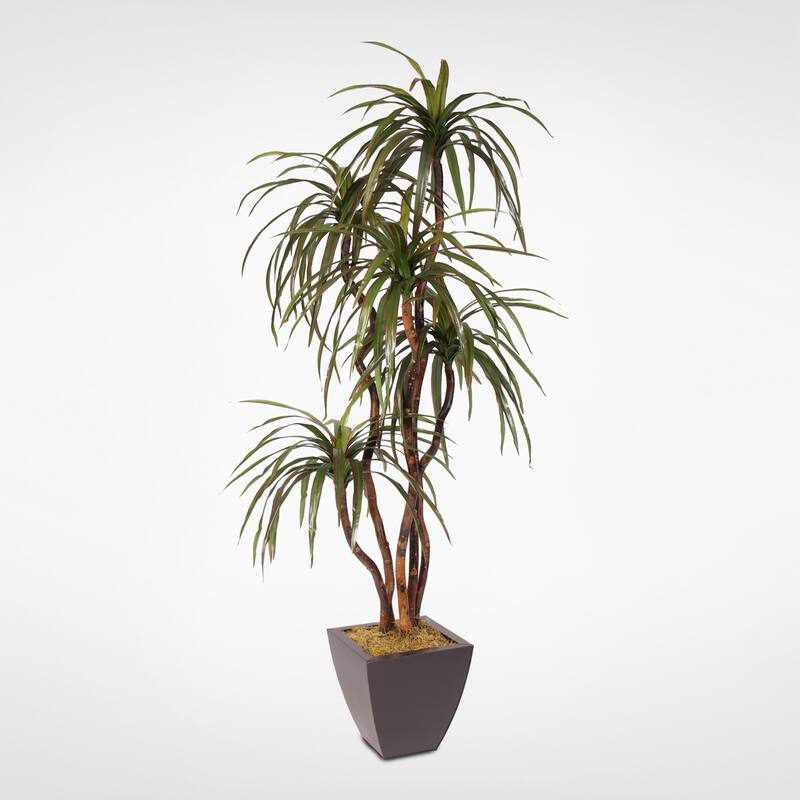 Silk 6-foot Yucca Tree with Natural Wood Trunk in Metal Pot
