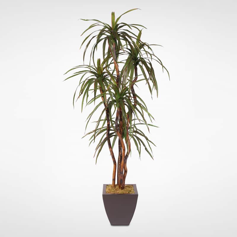 Silk 6-foot Yucca Tree with Natural Wood Trunk in Metal Pot