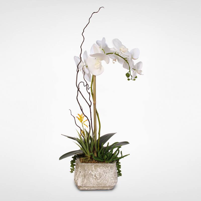 Real Touch Phalaenopsis Silk Orchid with Succulents in a Cement Pot - White