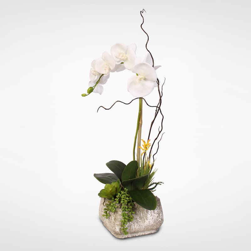 Real Touch Phalaenopsis Silk Orchid with Succulents in a Cement Pot - White