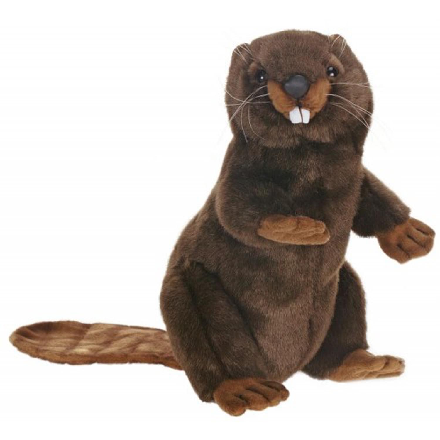 beaver cuddly toy