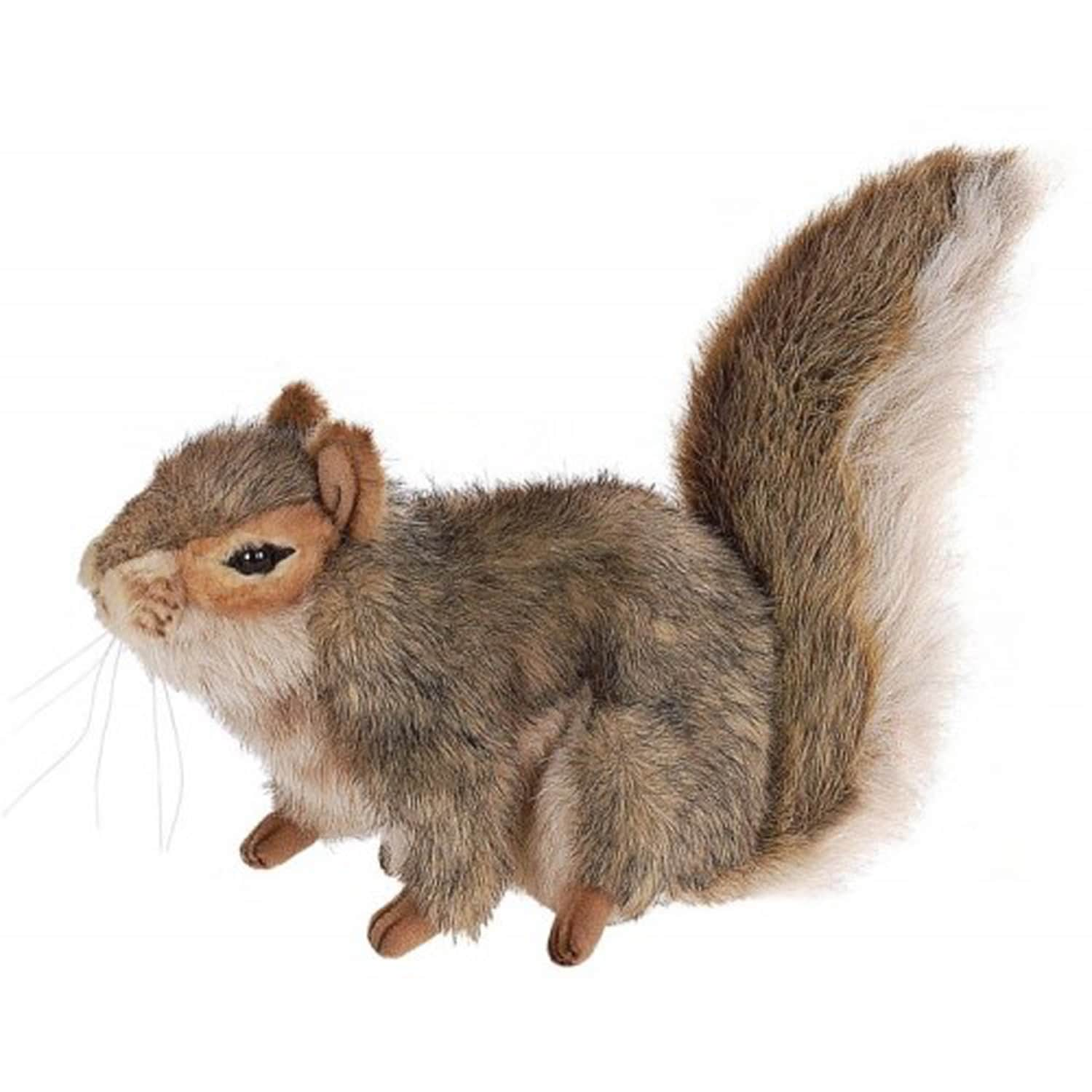 squirrel plush toy