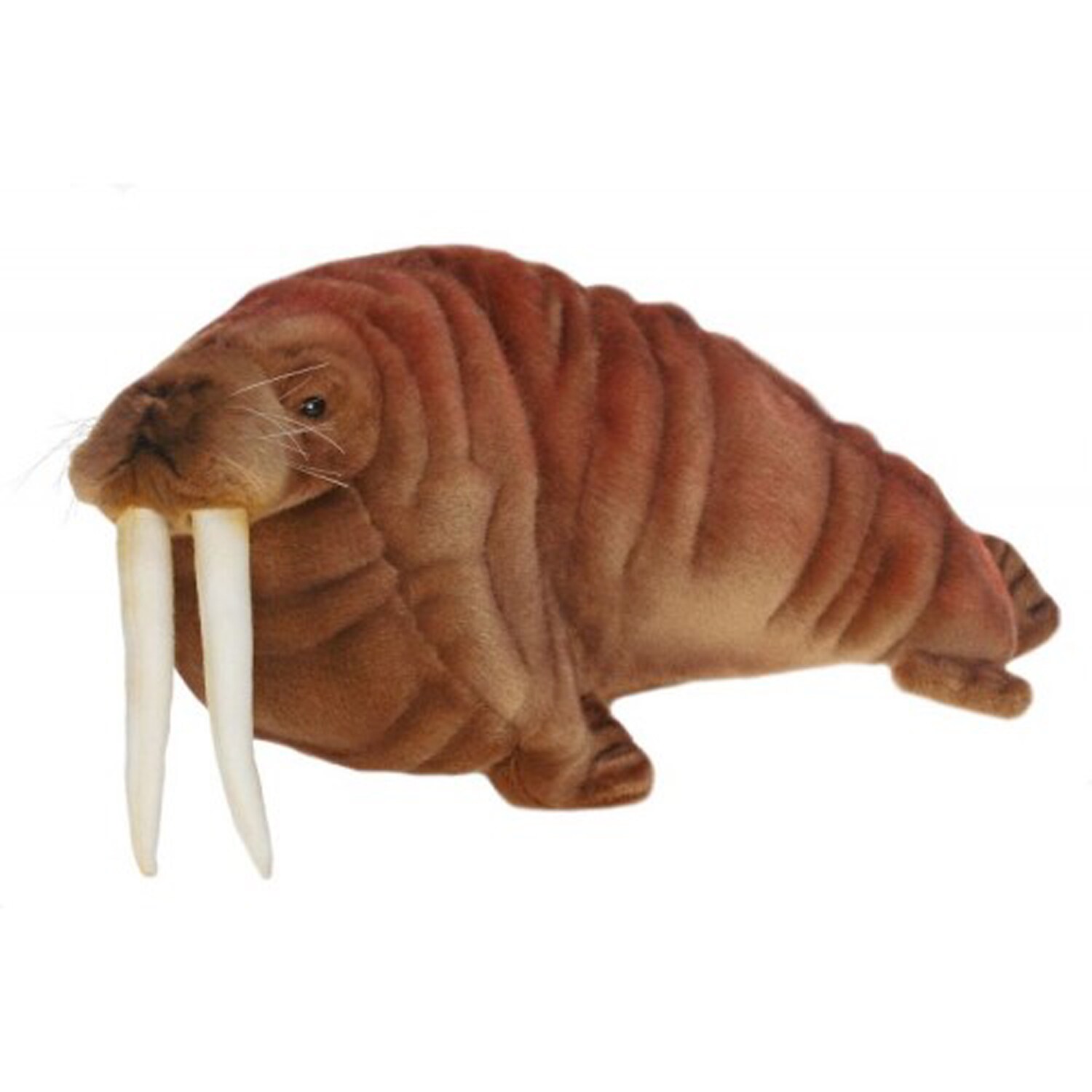 walrus plush