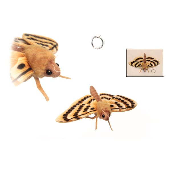 moth toy