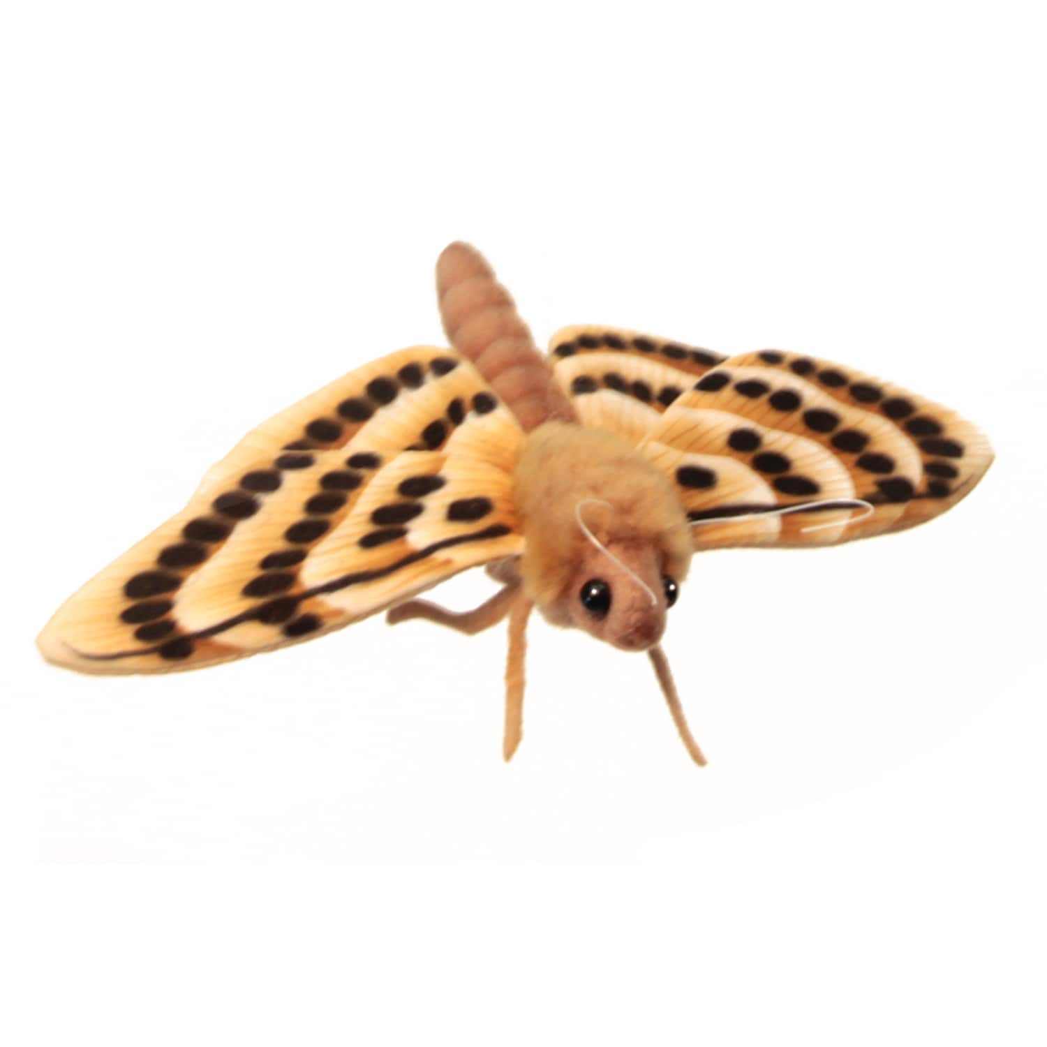 moth plush toy