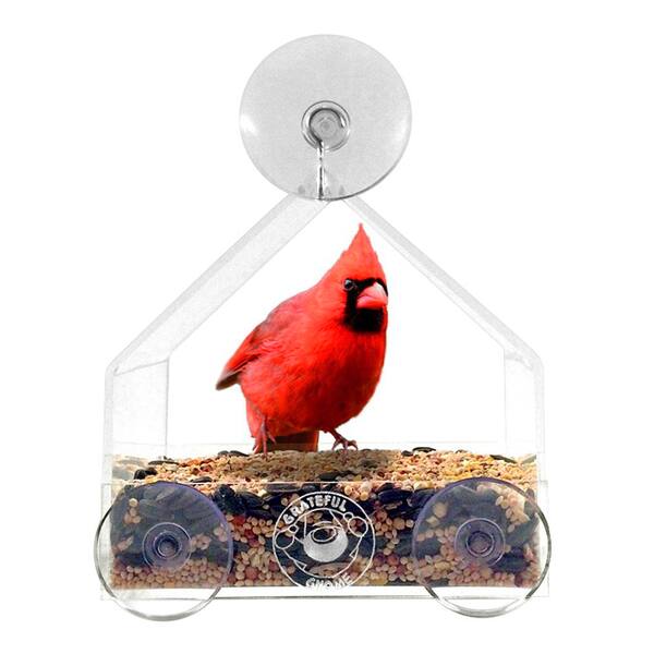 Shop Grateful Gnome House Window Bird Feeder Free Shipping On