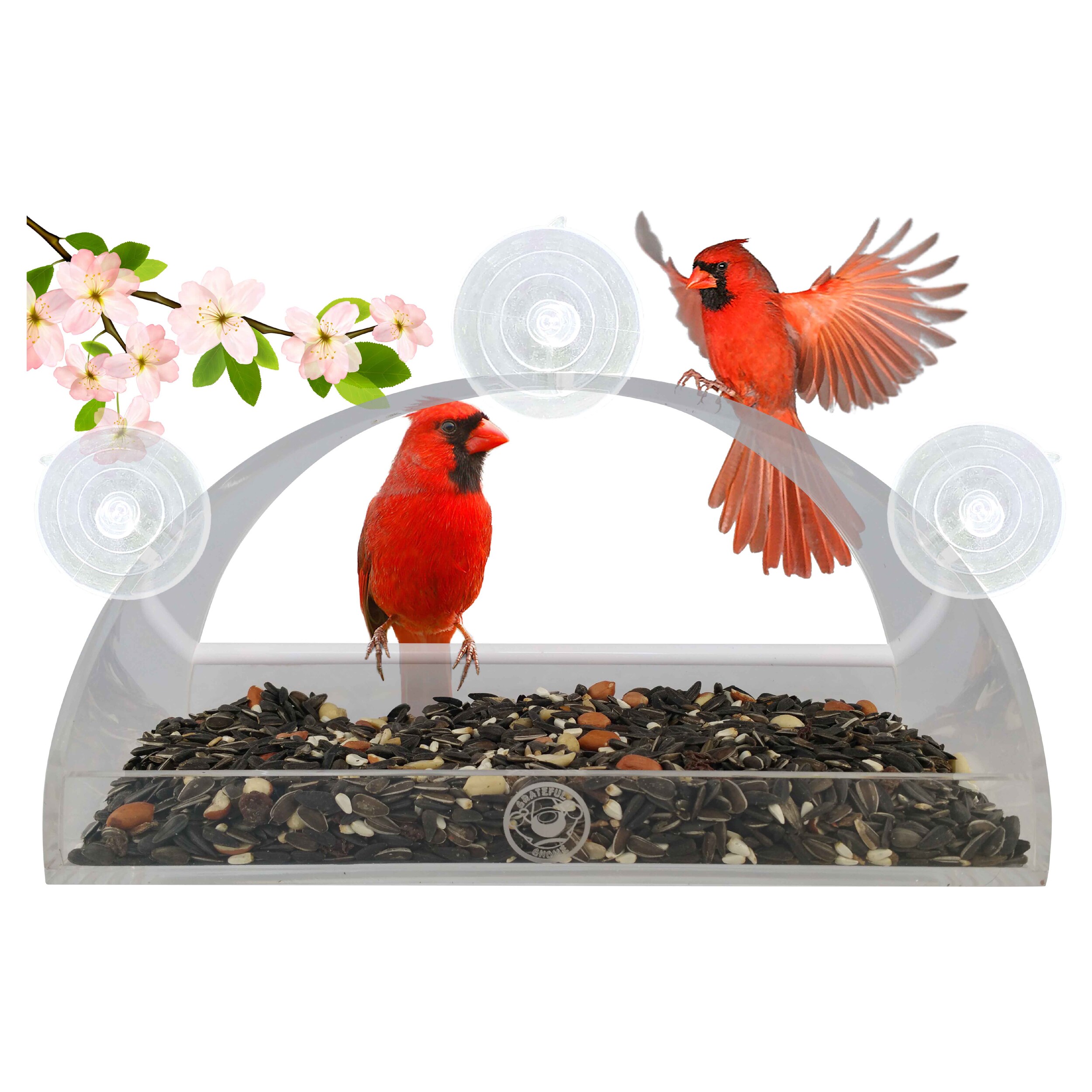 Shop Grateful Gnome Rainbow Window Bird Feeder Free Shipping On
