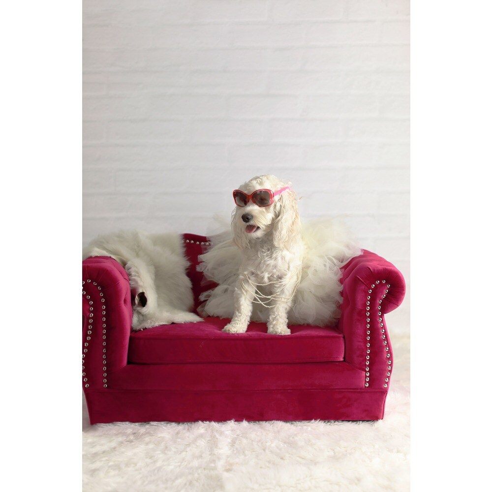 tufted dog couch