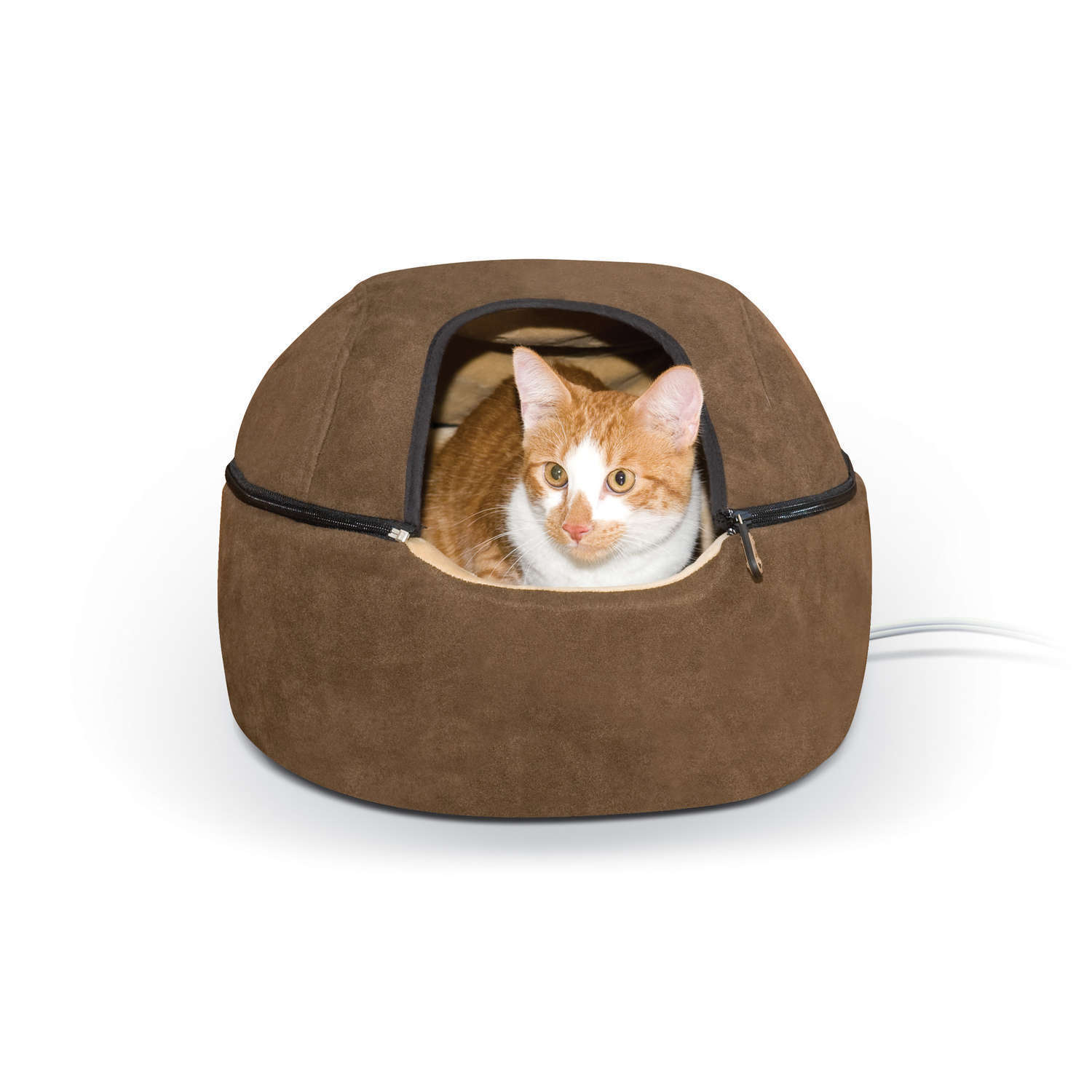 heated cat dome